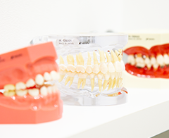 予防・メインテナンス